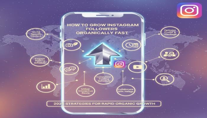 How to grow Instagram followers organically