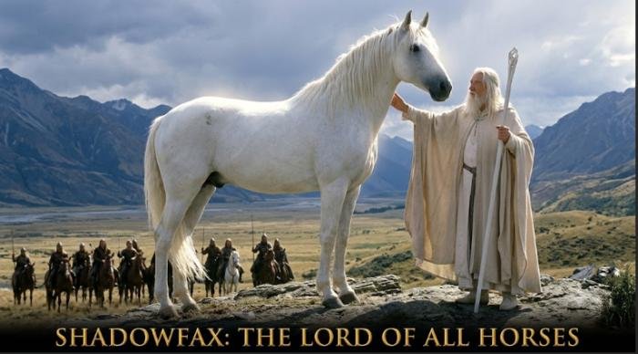 Valinor Shadowfax Explained Origins, Meaning & Lore 3 valinor shadowfax